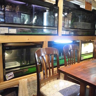 爬虫類喫茶 アゲイン_2