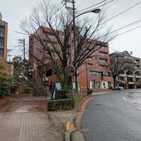 オステリア バッコ - どっぺり坂と異人池ハウス