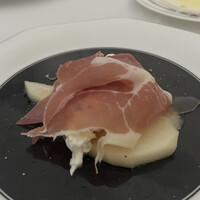 Pigeon - 