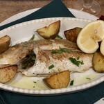 ノストラーノ - 