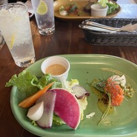 シャイニーアウル 表参道 - 