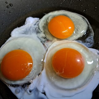 ふるさとたまご村_0