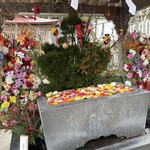 味の牛たん 喜助 - 花手水