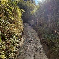 九つ井 本店 - 