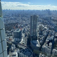 天空の庭　星のなる木 - 