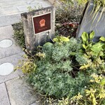 ダンディゾン - 