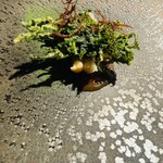 アルカナイズ - 