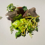 アルカナイズ - 