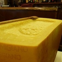 Ristorante IL FIGO INGORDO - 