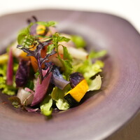 Hirovanna - 彩野菜