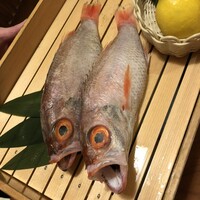 のどぐろ専門 銀座 中俣 - 