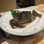 279745841 - 酔っ払い蟹