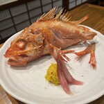 酒亭赤坂かねさく - 