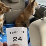 中華そば処 琴平荘 - 