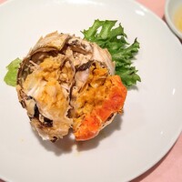 シェフス -  シェフス -