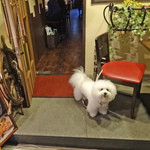 ヨーロピアンバル クル - おじゃま致しま〜す！