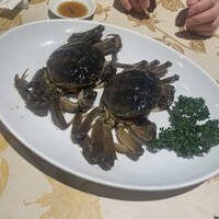 老香港酒家京都 - 