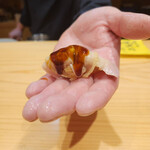 代官山 韻 - 煮ハマ