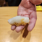 代官山 韻 - アオリイカ