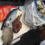 海三昧 おさしみ家 - 魚の質には妥協を許しません