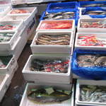 海三昧 おさしみ家 - 魚料理屋は仕入れが命！１尾１尾吟味します