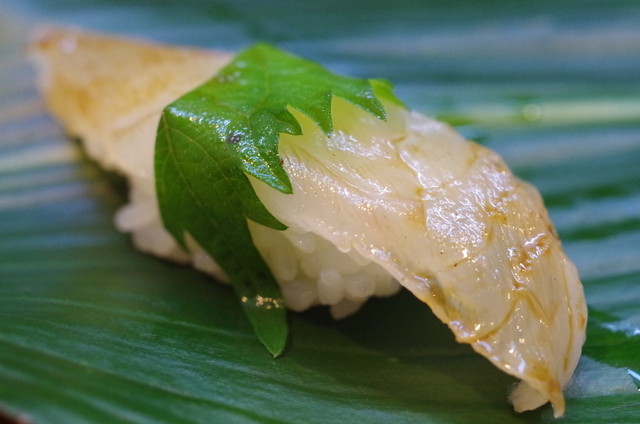 すし処美旨 すしどころみよし 来宮 寿司 食べログ すし処美旨 すしどころみよし 来宮 寿司 食べログ