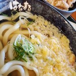 はなまるうどん - 料理写真: