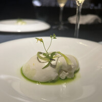 セルサルサーレ - 