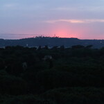 Ristorante Mirabelle - 