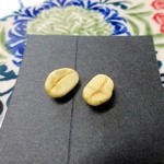 sunday zoo - 自家栽培のコーヒー豆