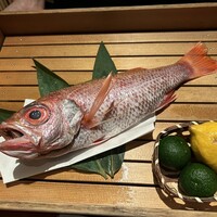 のどぐろ専門 銀座中俣 はなれ - 
