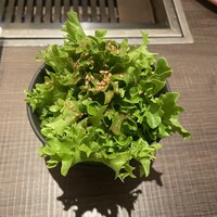 原宿焼肉 KINTAN - 