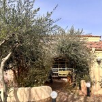 キャナリィ・ロウ - 