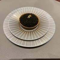 スガラボヴィー - 