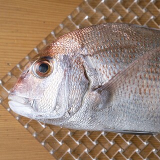 鯛、鱧、真魚鰹…。漁師・藤本氏から届く鮮魚を料理の軸に