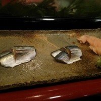 丸萬寿司 - 小鰭。つまみ。３日、五日寝かせたもの。