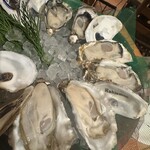 フィッシュハウス オイスターバー 恵比寿本店 - 