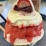 Hawaiian Ninja Shave Ice - 