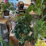 鎌倉コーヒー豆.com - 