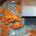 大宮 甲羅本店 - 