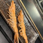 炭火やきとり 朧 - 