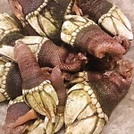 酒菜と炭 てりや - カメノテ