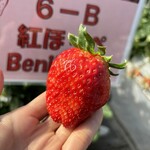 姫路ハートフル観光農園 - 