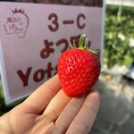 姫路ハートフル観光農園 - 