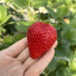 姫路ハートフル観光農園 - 