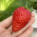 姫路ハートフル観光農園 - 