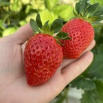 姫路ハートフル観光農園 - 