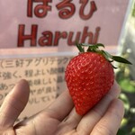 姫路ハートフル観光農園 - 