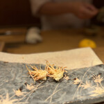 天ぷら 川原崎 - 海老のかしわ