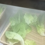 熟成肉専門店 ヨプの王豚塩焼 - 